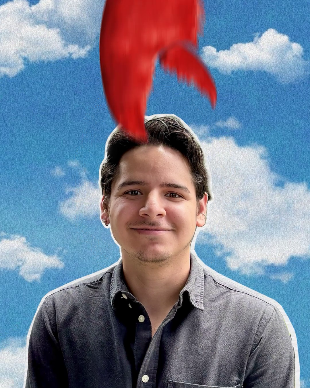 brainsplit gallery image 1